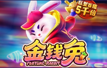 金钱兔